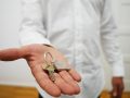 Comment choisir un serrurier de confiance ?